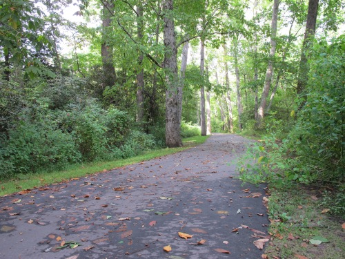 ..last pic of the Greenway, I only waked in a bit, then turned around, just to show you..